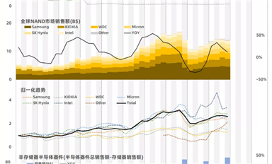 全球存儲(chǔ)器芯片市場(chǎng)銷售數(shù)據(jù)(2020Q4)